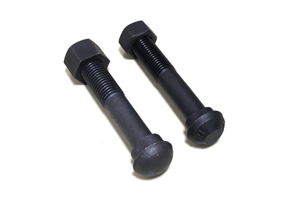 Fish Bolt